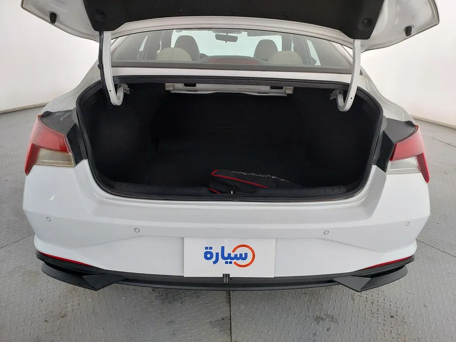 2021 Hyundai Elantra Fleet 