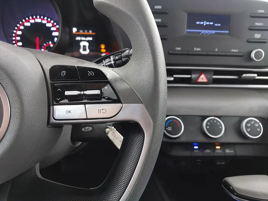 2021 Hyundai Elantra Fleet 