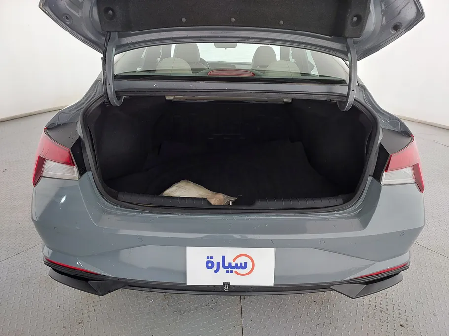 2021 Hyundai Elantra Fleet 