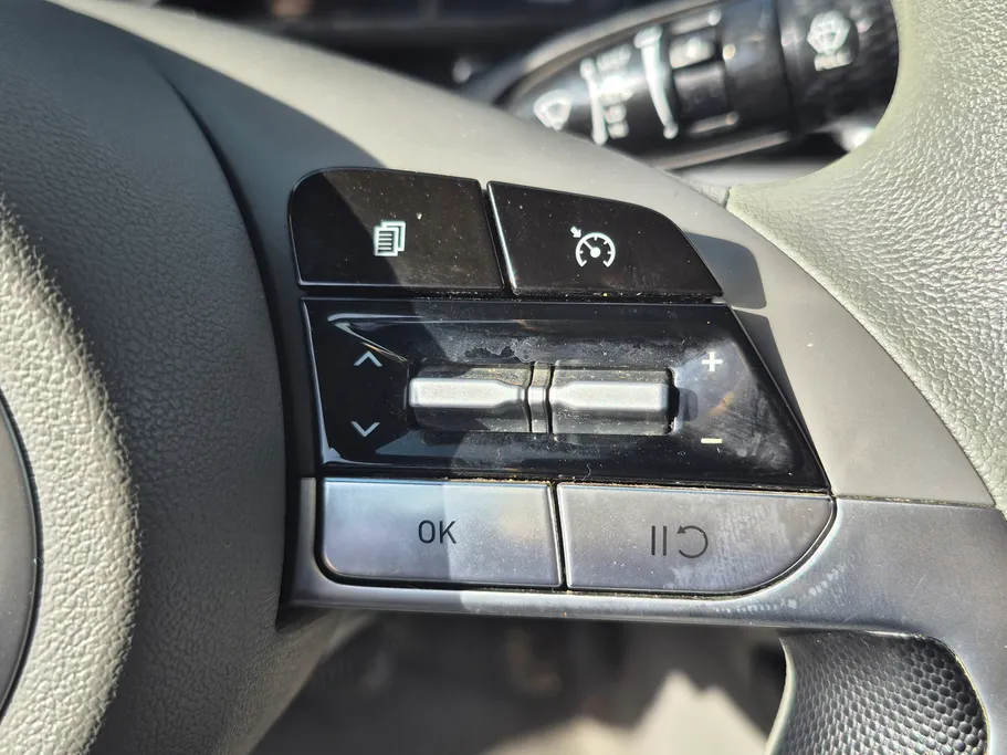 2023 Hyundai Elantra Fleet 