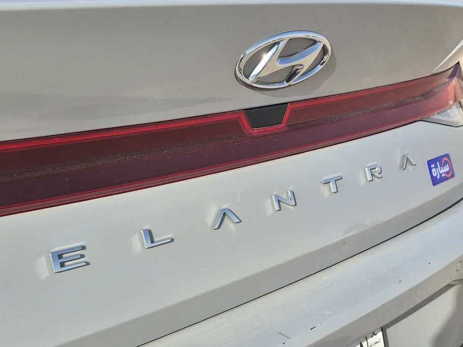 2023 Hyundai Elantra Fleet 