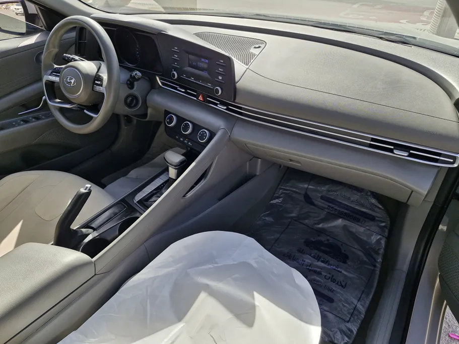 2023 Hyundai Elantra Fleet 