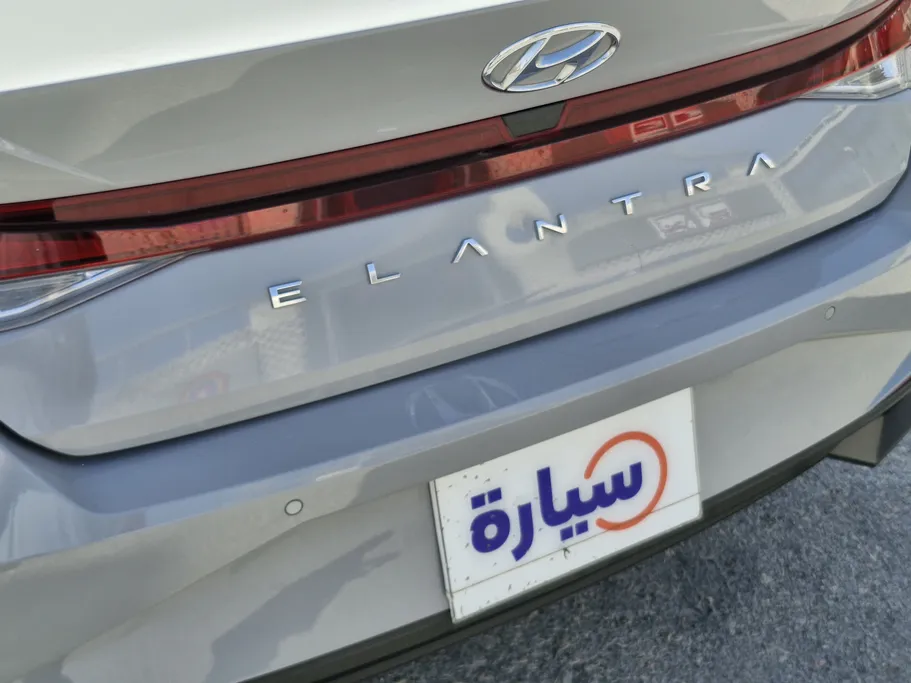 2023 Hyundai Elantra Fleet 