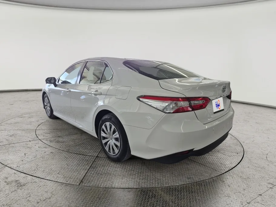 2019 Toyota Camry  LE 