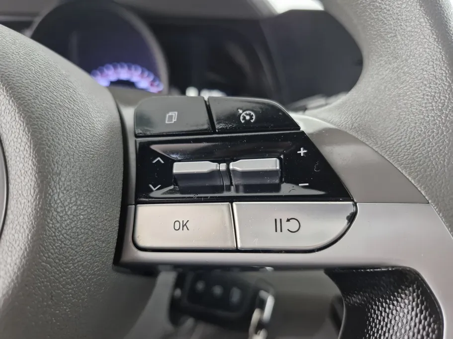 2021 Hyundai Elantra Fleet 