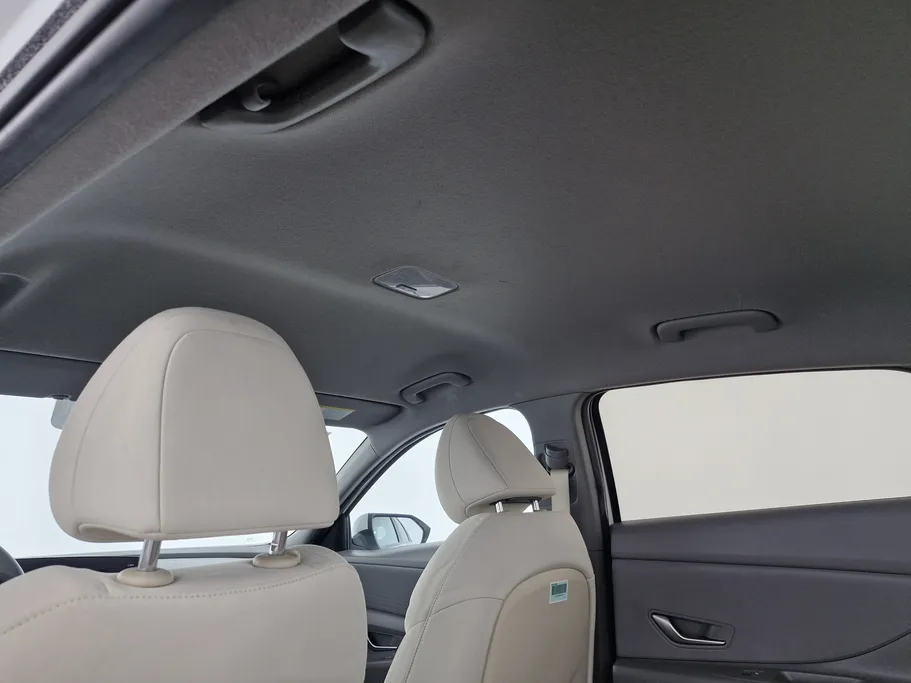 2021 Hyundai Elantra Fleet 