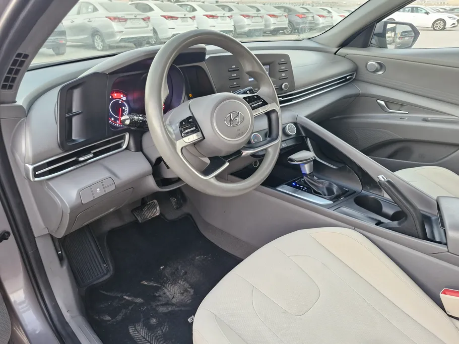 2022 Hyundai Elantra Fleet 