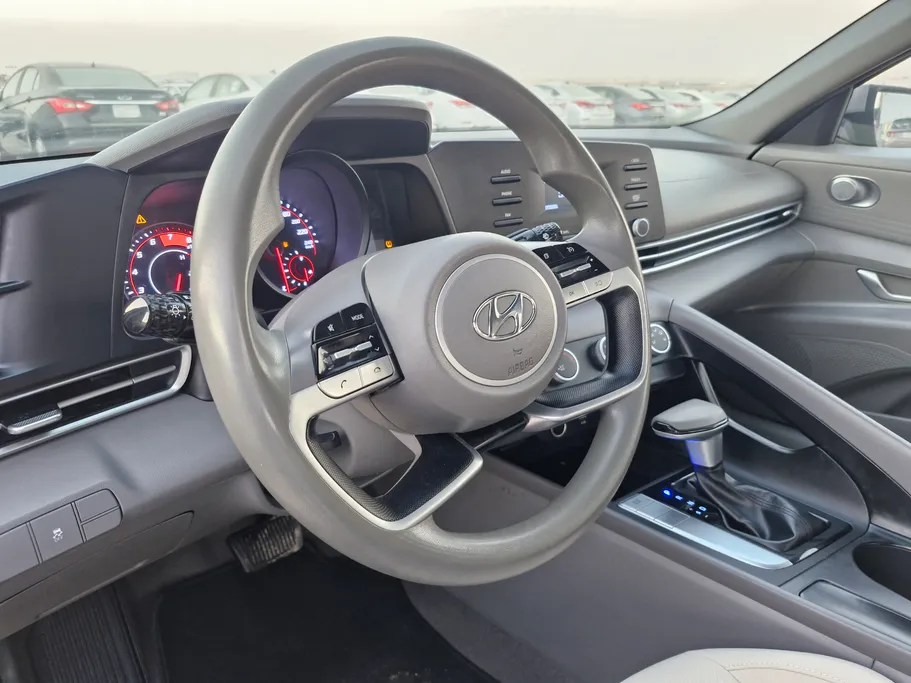 2022 Hyundai Elantra Fleet 