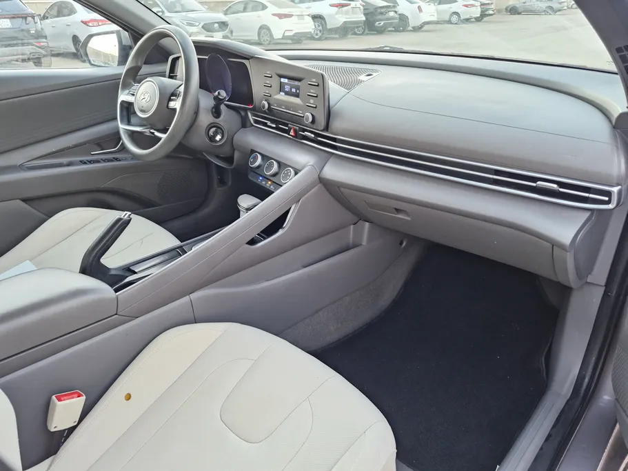 2022 Hyundai Elantra Fleet 