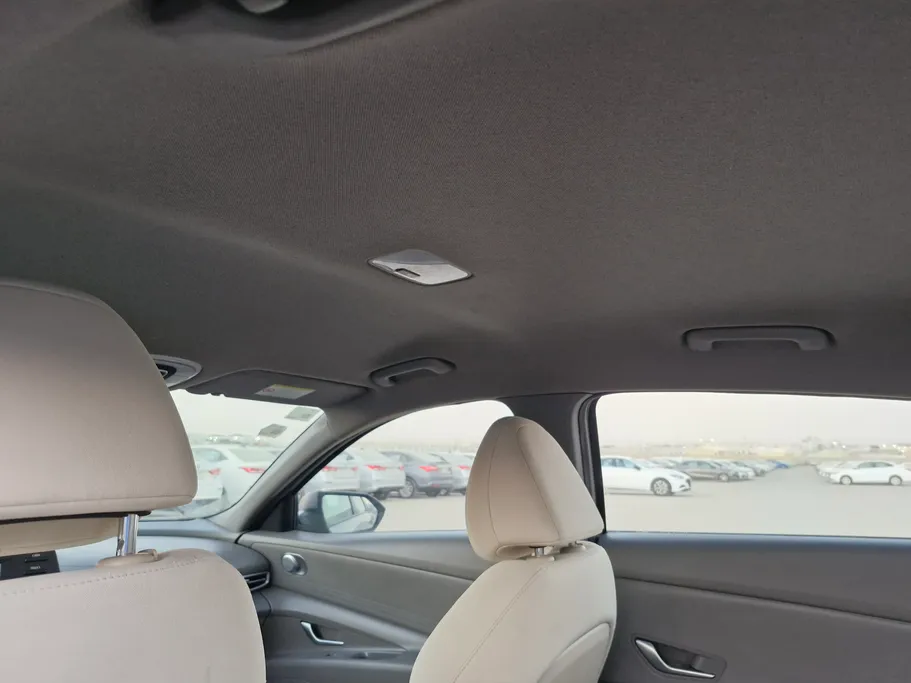 2022 Hyundai Elantra Fleet 