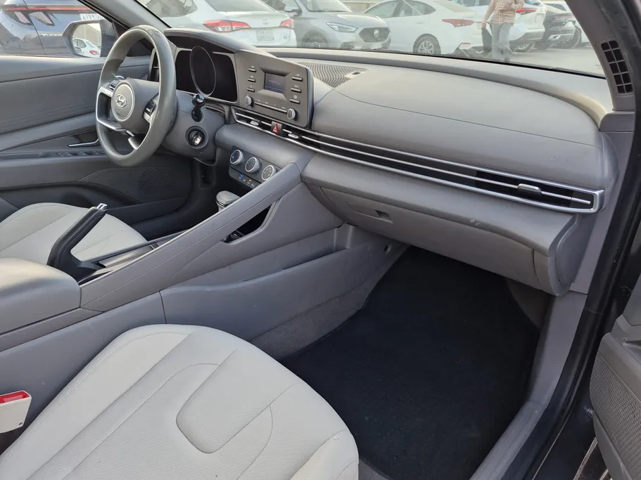 2023 Hyundai Elantra Fleet 