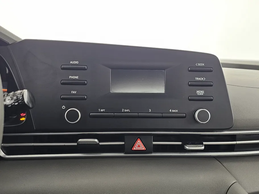 2023 Hyundai Elantra Fleet 