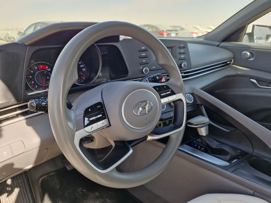 2023 Hyundai Elantra Fleet 