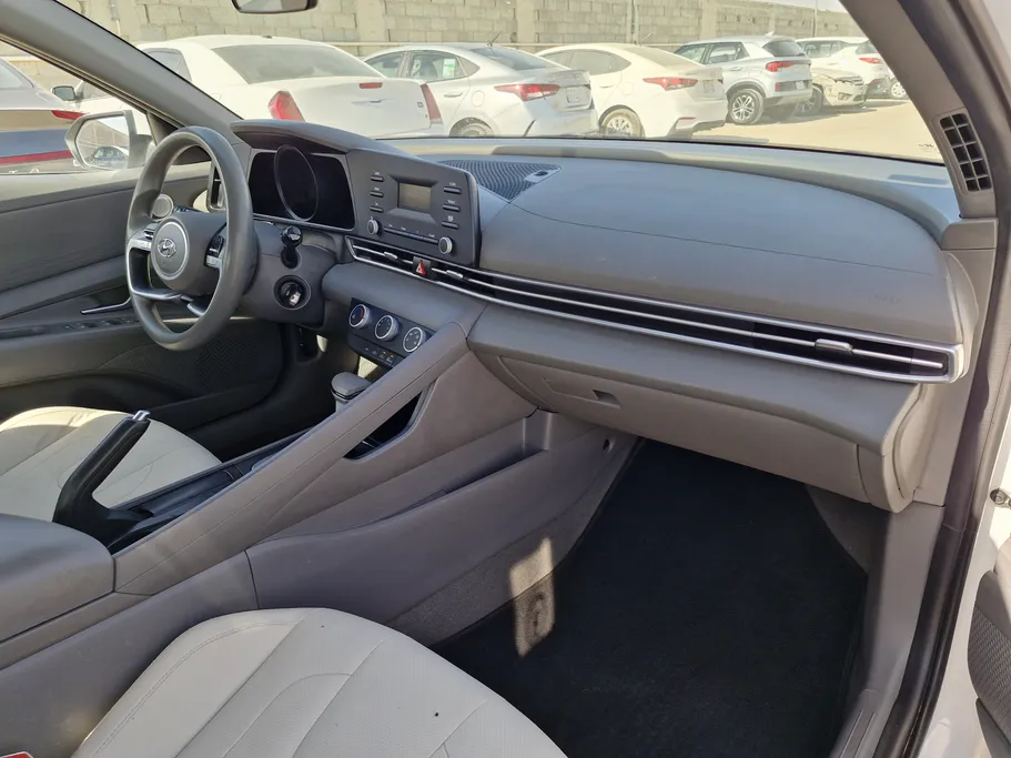 2023 Hyundai Elantra Fleet 