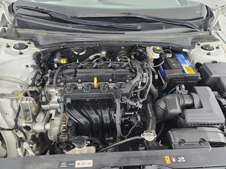 2023 Hyundai Elantra Fleet 