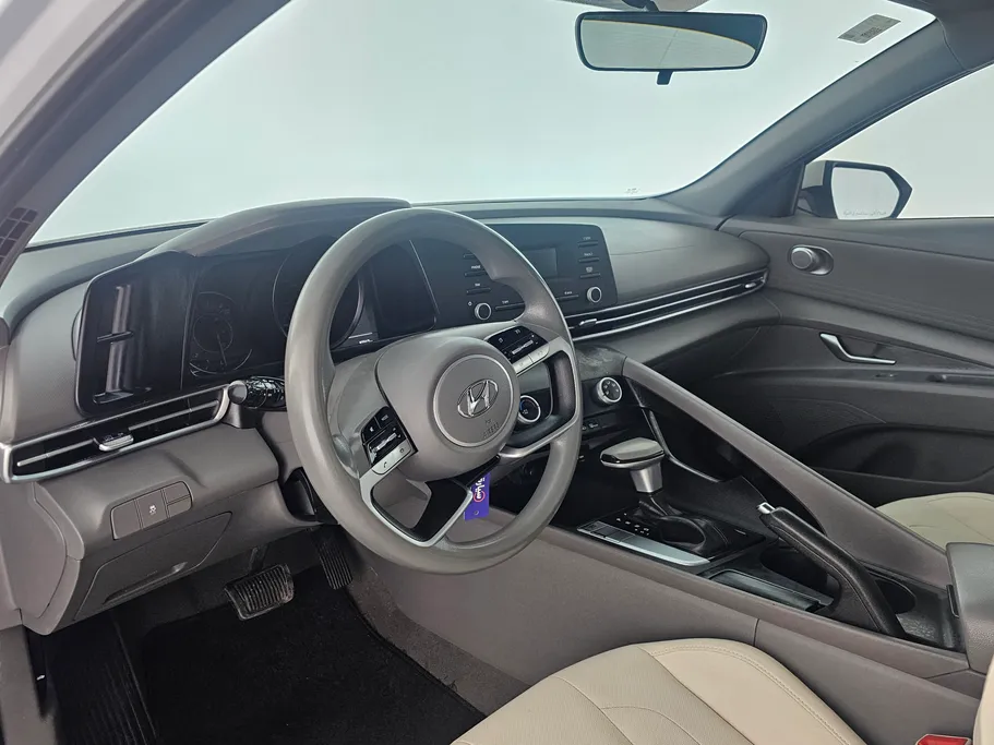 2021 Hyundai Elantra Fleet 