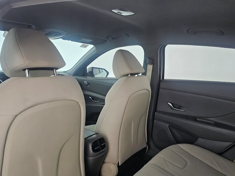 2021 Hyundai Elantra Fleet 