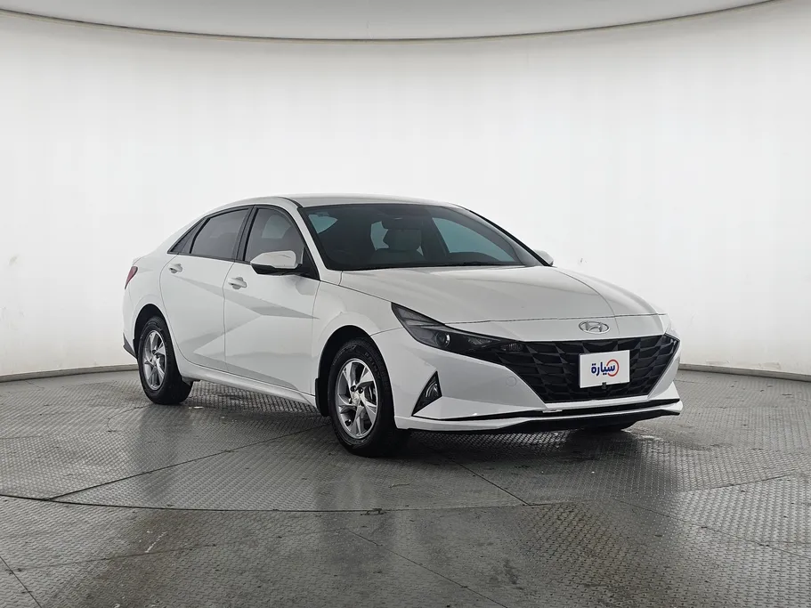 2021 Hyundai Elantra Fleet 