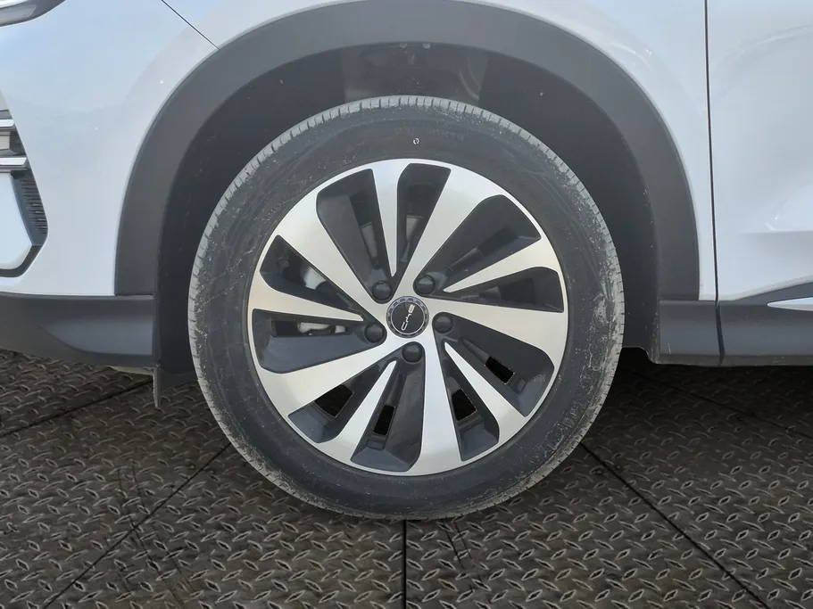 بي واي دي سونج بلس ديزاين 2024 