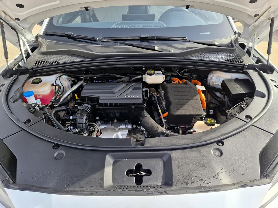 بي واي دي سونج بلس ديزاين 2024 