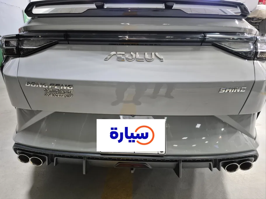 2024 Dongfeng  Shine E1 