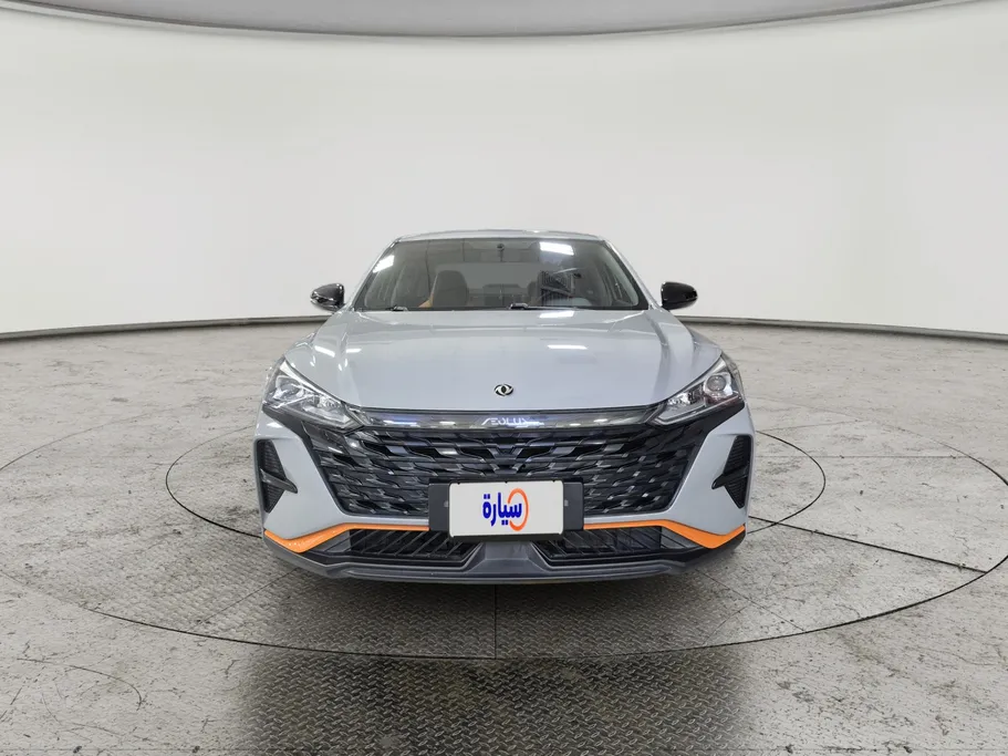 2024 Dongfeng  Shine E1 