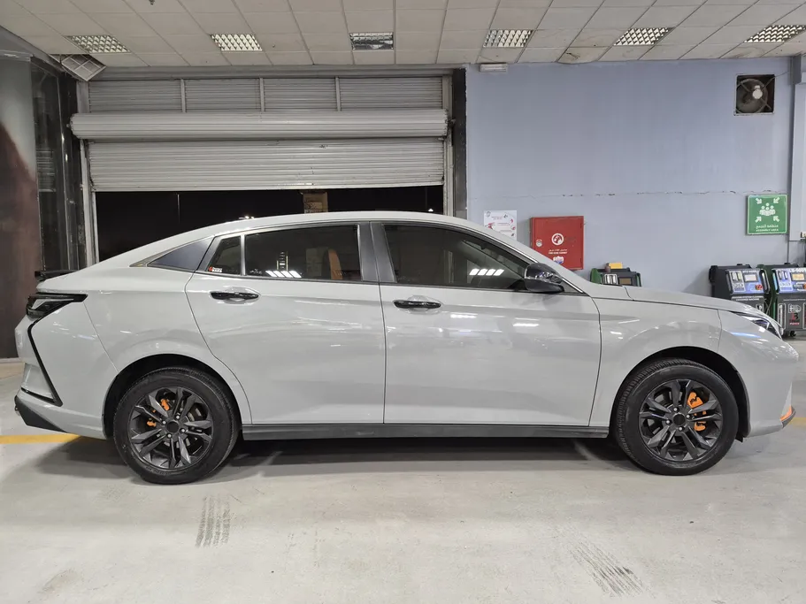 2024 Dongfeng  Shine E1 