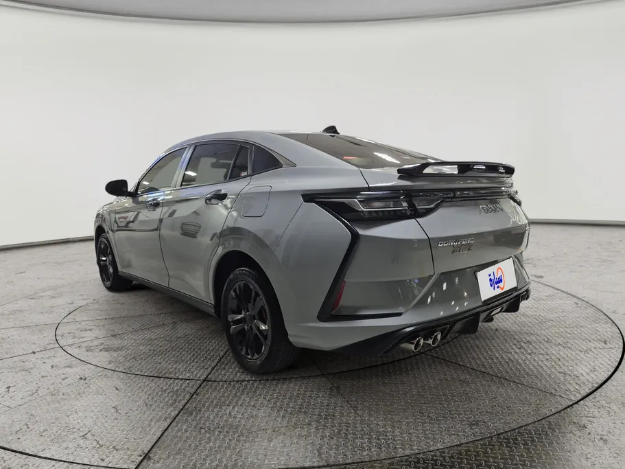 2024 Dongfeng  Shine E1 