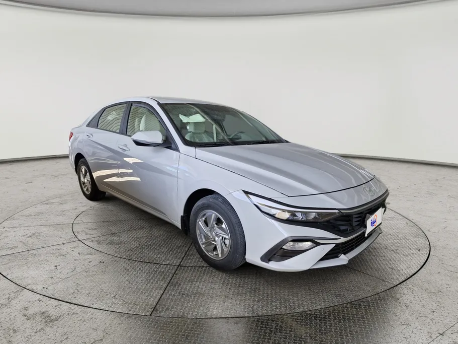 2025 Hyundai Elantra Fleet 