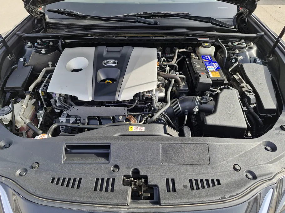 2021 Lexus ES 250 AA Elegant 