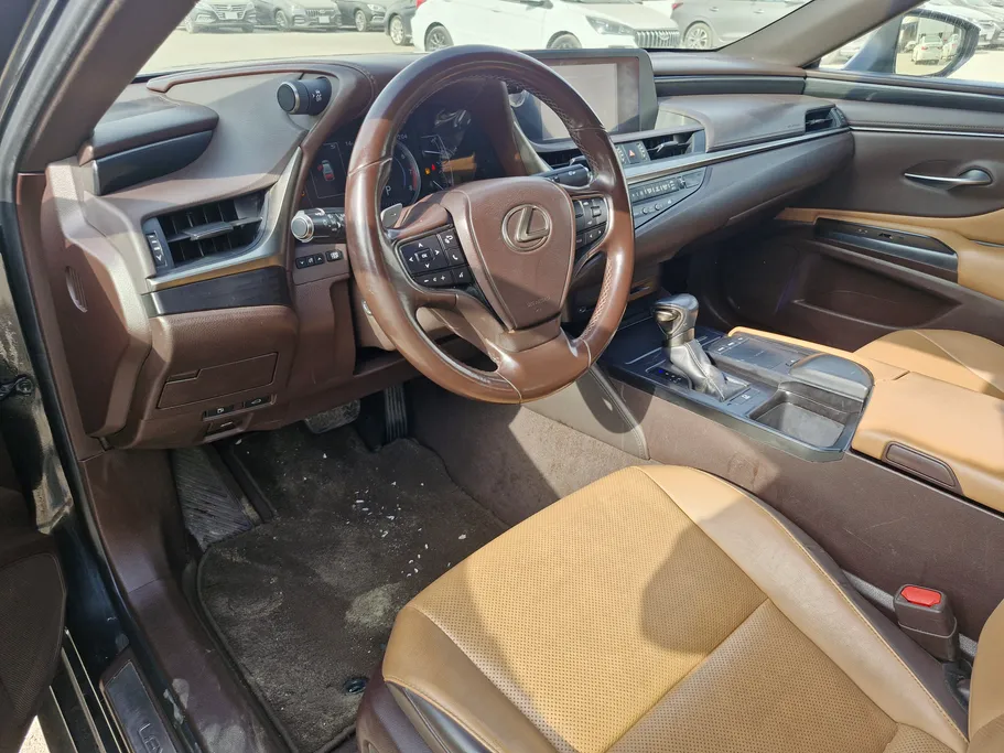 2021 Lexus ES 250 AA Elegant 