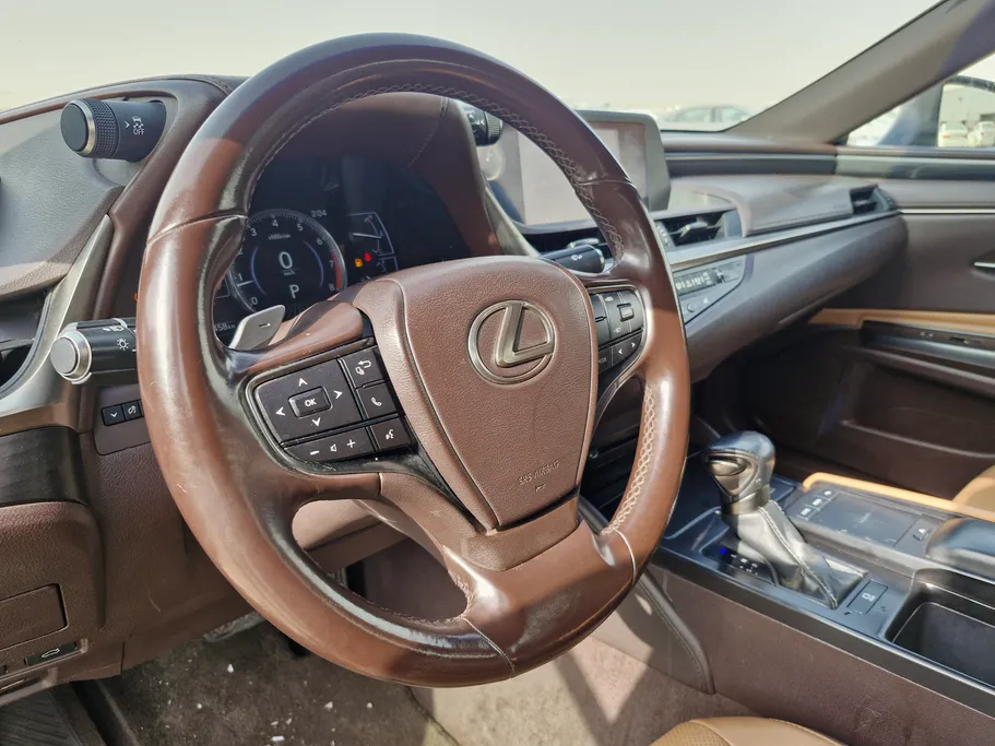 2021 Lexus ES 250 AA Elegant 
