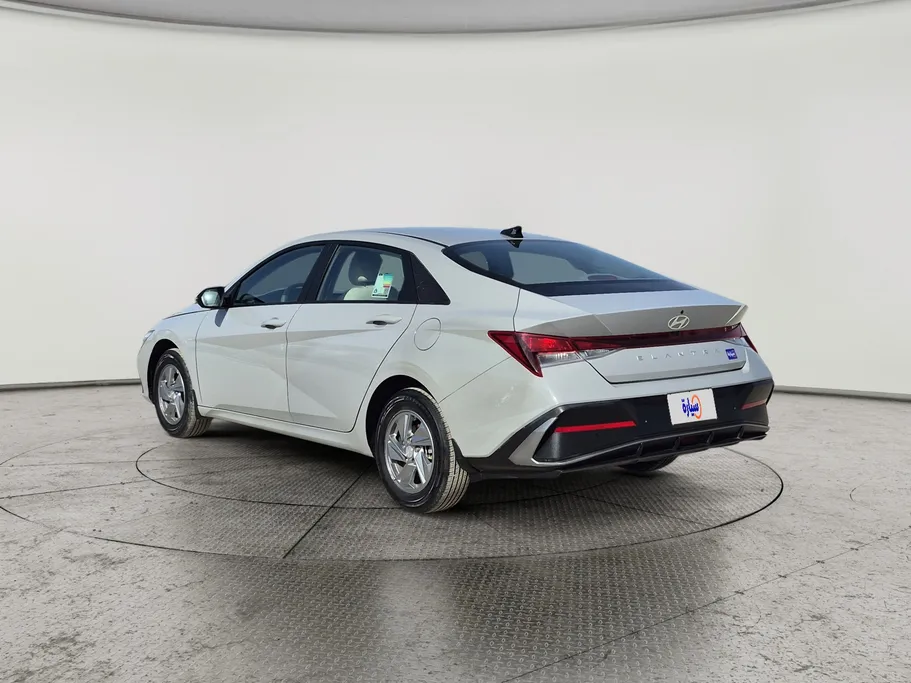 2024 Hyundai Elantra Fleet 