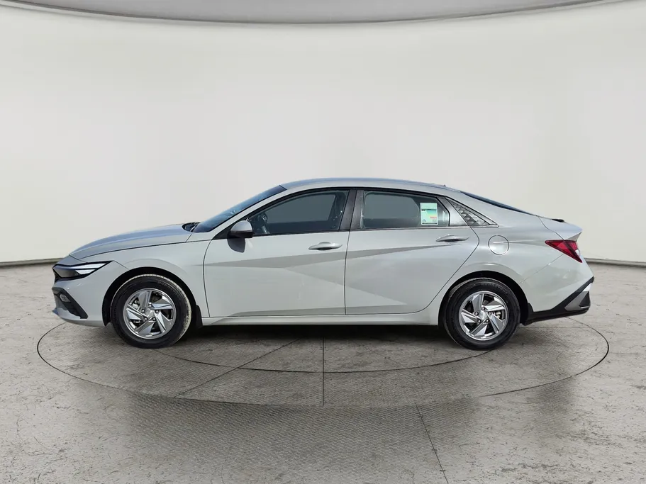 2024 Hyundai Elantra Fleet 
