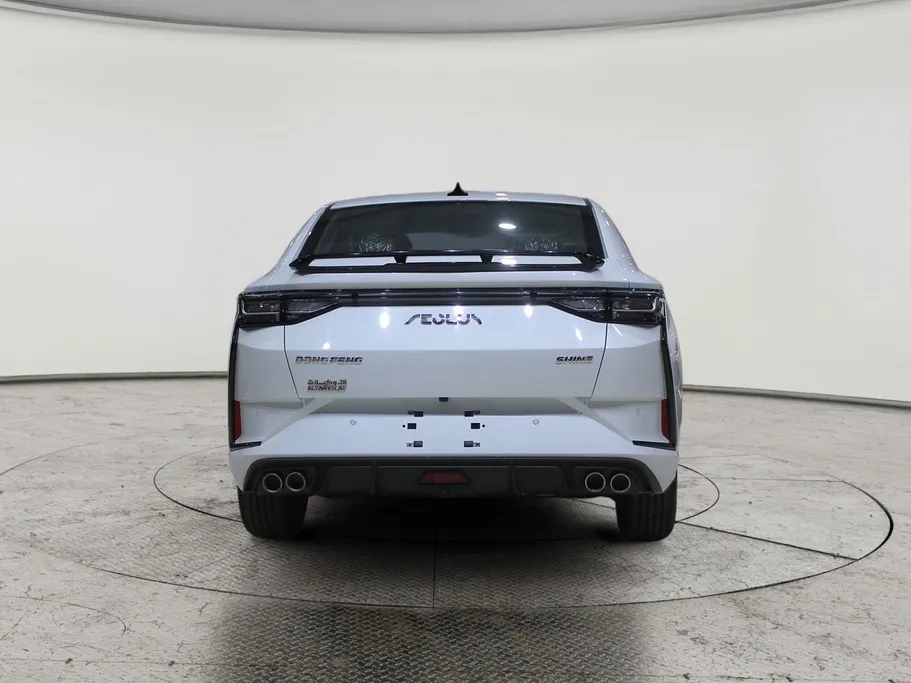 دونج فينج شاين E2 2026 