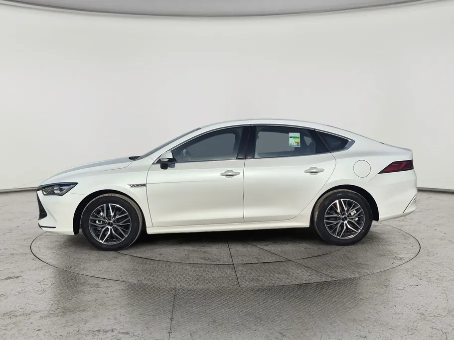 بي واي دي تشين بلس كمفورت 2025 