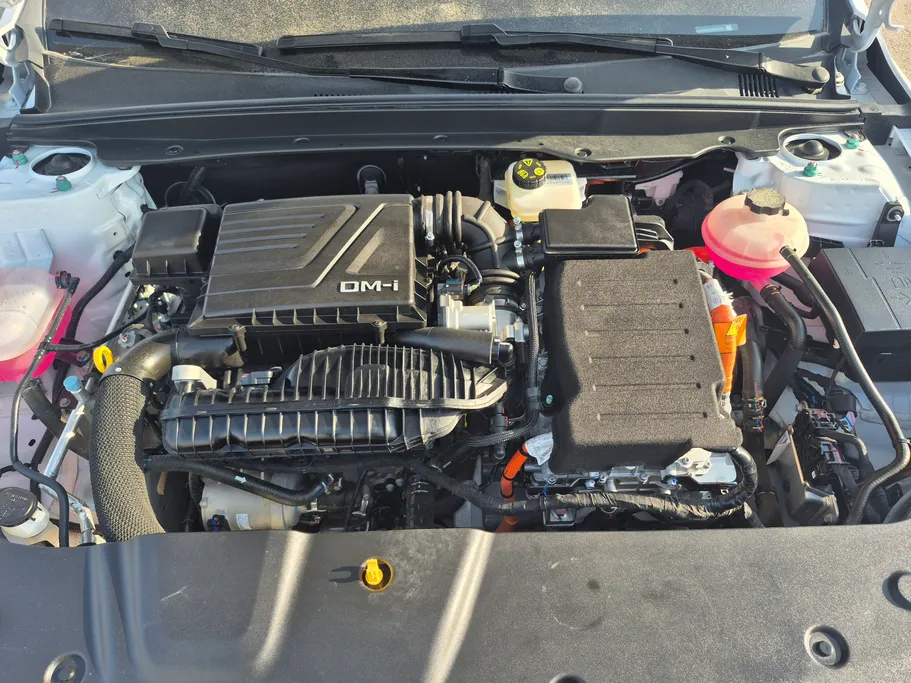 بي واي دي تشين بلس كمفورت 2025 