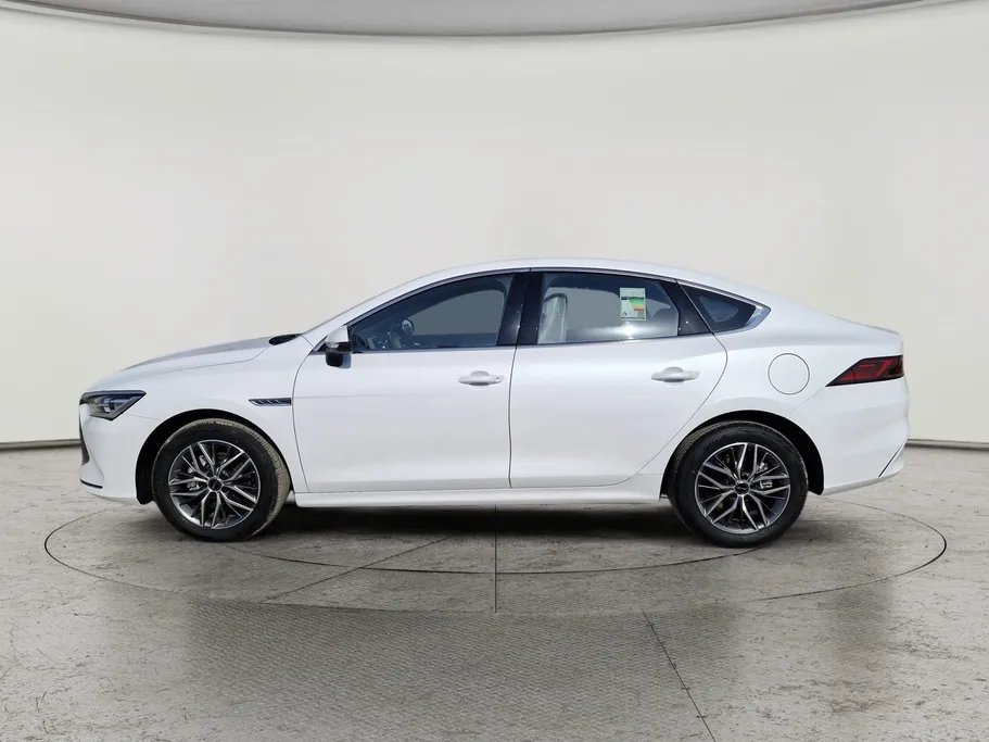 بي واي دي تشين بلس كمفورت 2025 