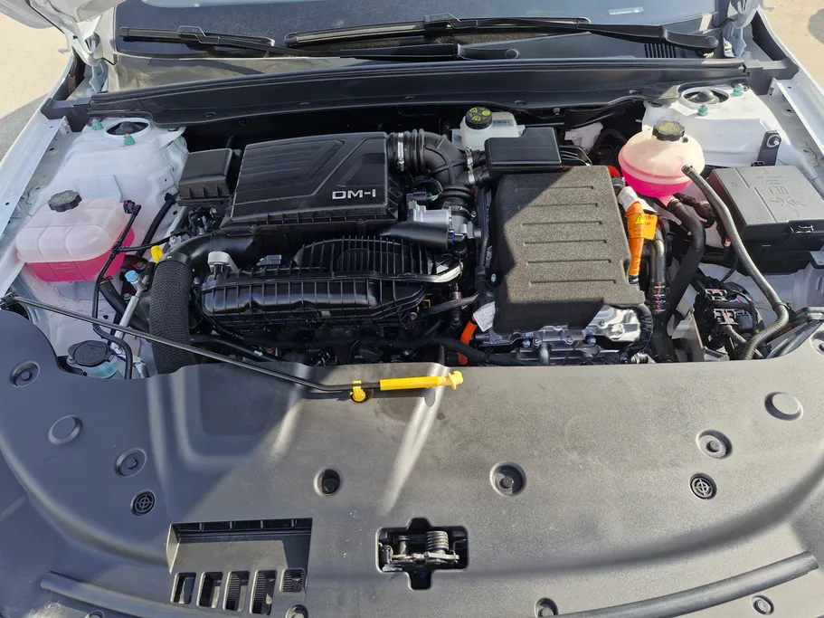 بي واي دي تشين بلس كمفورت 2025 