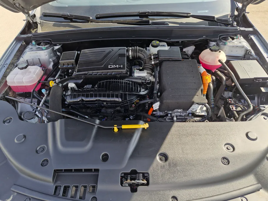 بي واي دي تشين بلس كمفورت 2025 