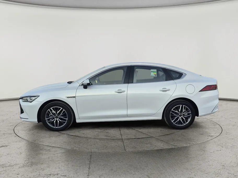 بي واي دي تشين بلس كمفورت 2025 