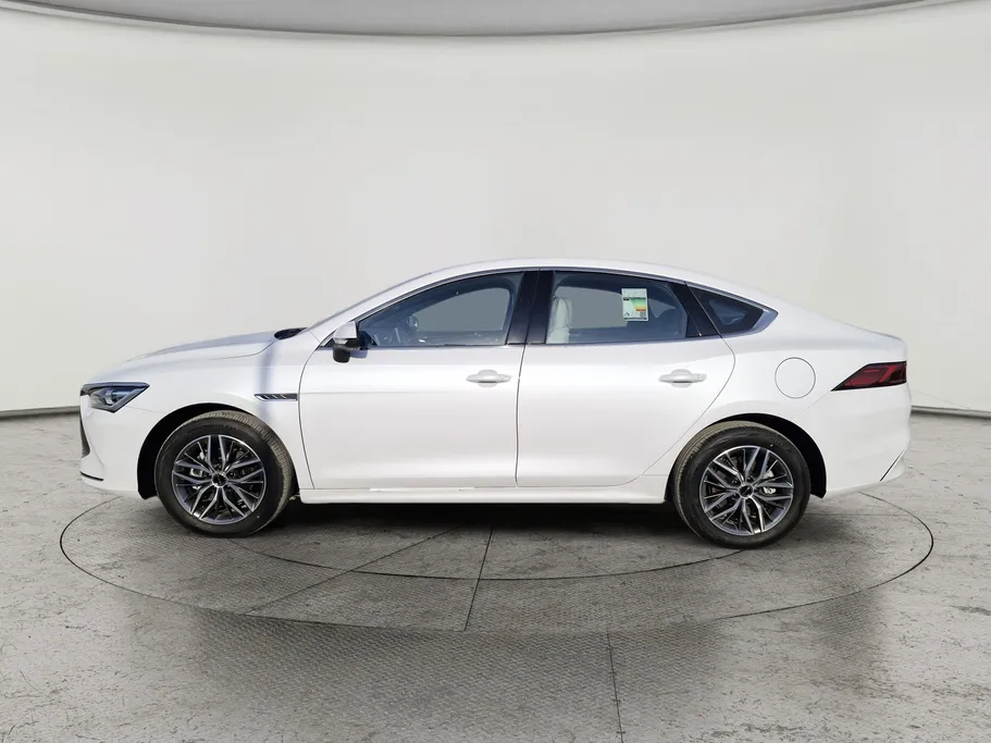 بي واي دي تشين بلس كمفورت 2025 