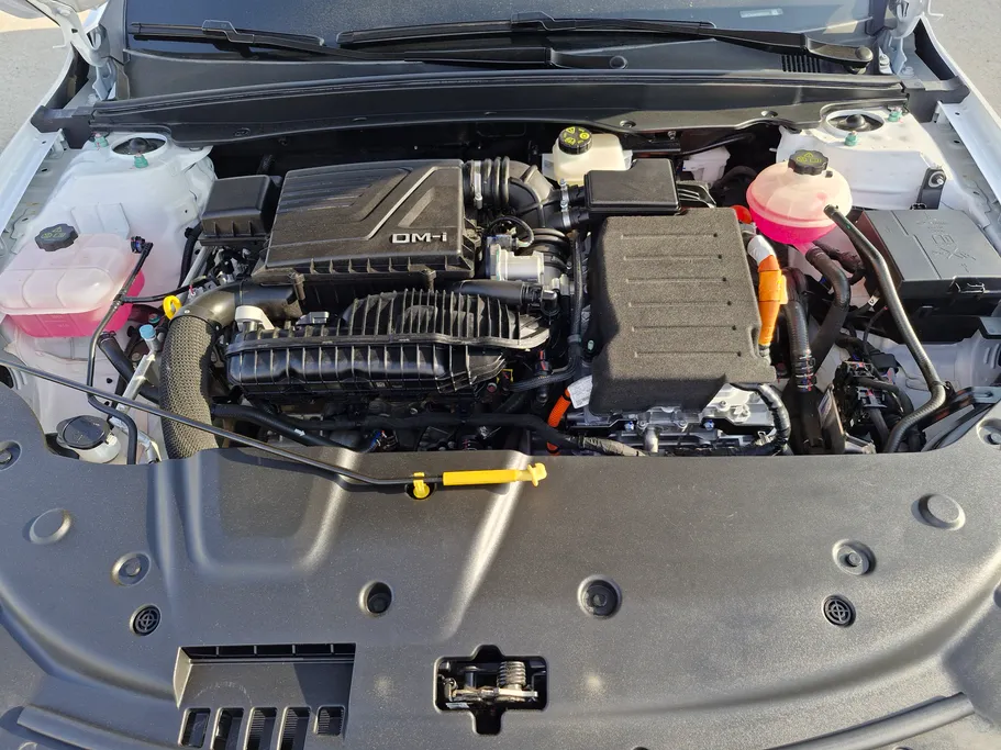 بي واي دي تشين بلس كمفورت 2025 