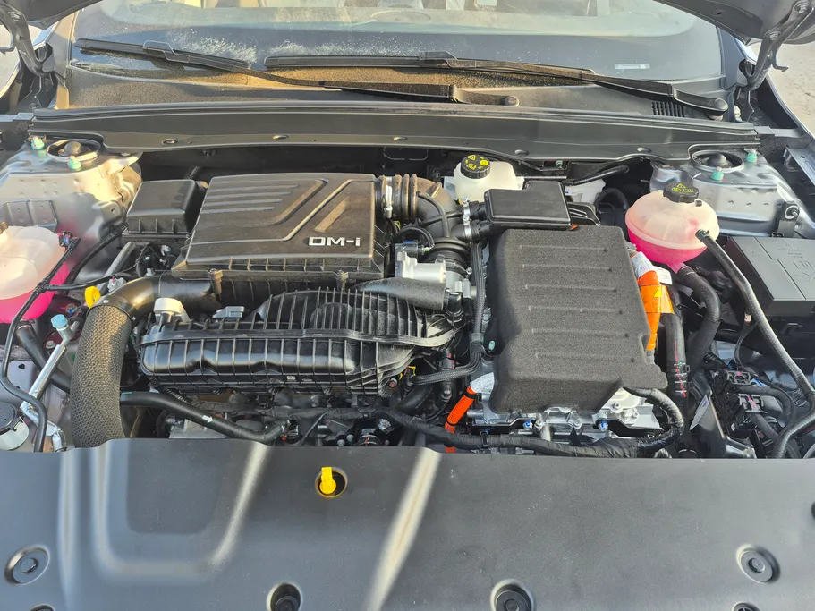 بي واي دي تشين بلس كمفورت 2025 