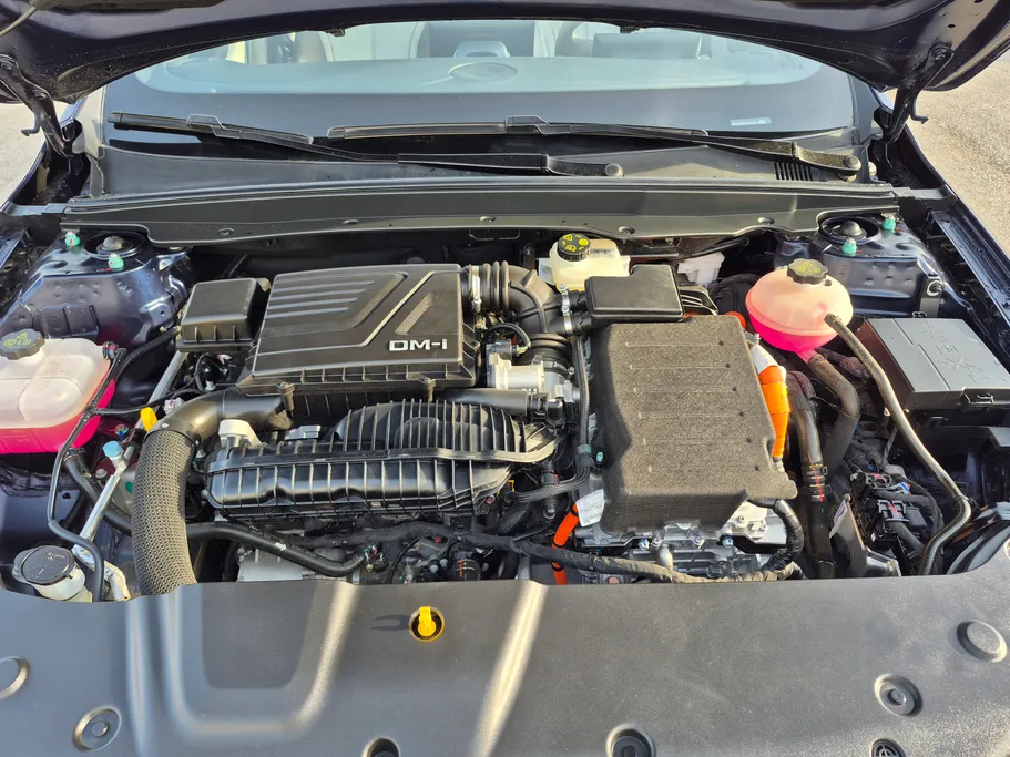 بي واي دي تشين بلس كمفورت 2025 