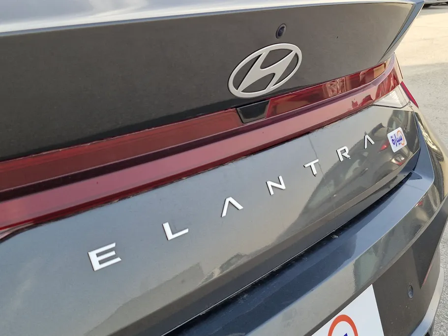 2024 Hyundai Elantra Fleet 