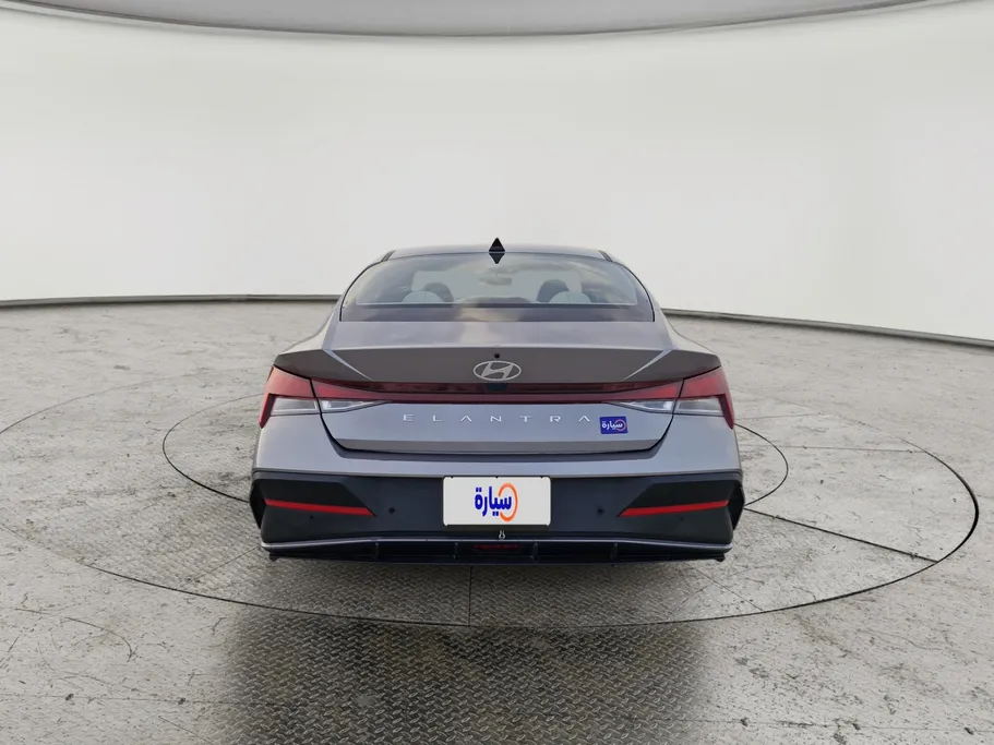 2024 Hyundai Elantra Fleet 