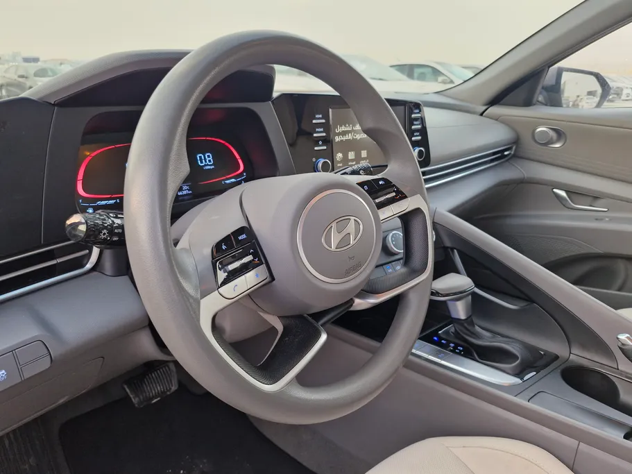 2024 Hyundai Elantra Fleet 