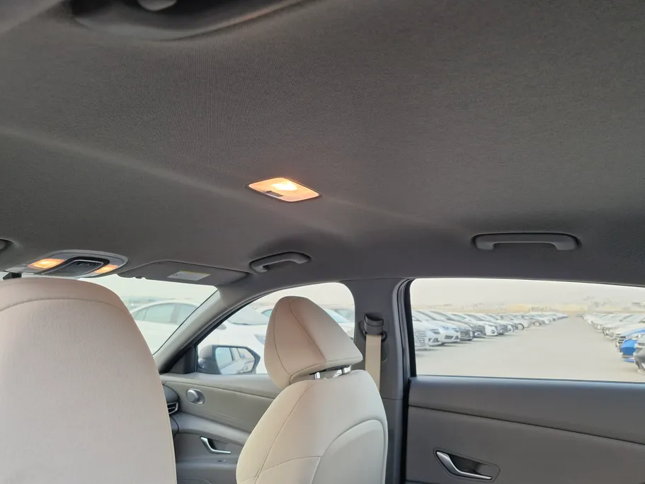 2024 Hyundai Elantra Fleet 