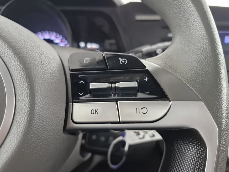 2022 Hyundai Elantra Fleet 